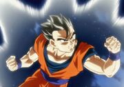 Gohan Definitivo Sparring