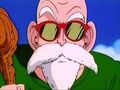 Master Roshi