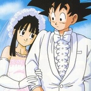 孫悟空 Dragon Ball Wiki Fandom 孫悟空 Dragon Ball Wiki Fandom