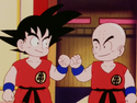 Goku and Krillin