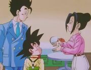 Gohan, his brother, and his mom