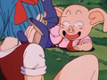 Oolong checks Bulma out