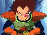 Vegetafirst