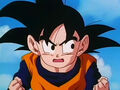 Dbz248(for dbzf.ten.lt) 20120503-18145750