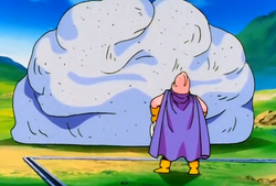 SUPER Casa do Kame: Saga Majin boo ou Majin buu?