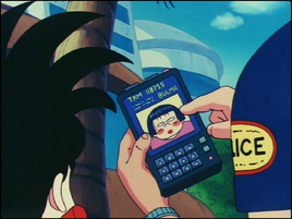 Bulma ciudadana