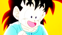 Gohan happy