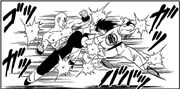 Tien and Yamcha battle