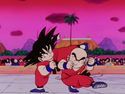 Goku vs. Krillin
