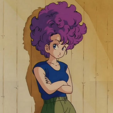 ランファン Dragon Ball Wiki Fandom