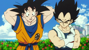 Son Goku e Vegeta - DBSB