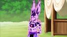 Fury Beerus