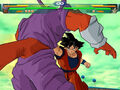 Goku punching Super Janemba