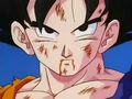 DBZ - 224 -(by dbzf.ten.lt) 20120303-15230579