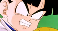 A frustrated Gohan