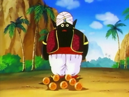 Mr. Popo consigue las Esferas del Dragón en solo un día.