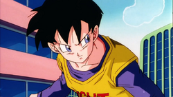 Videl/Gallery, Dragon Ball Wiki, Fandom