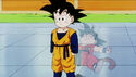 Goten, as seen by the announcer when he enters the ring