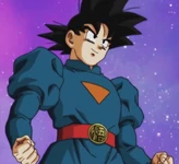 Goku's Grand Minister-style clothes