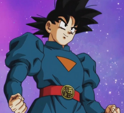 Goku Dragon Ball Wiki Fandom