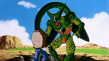 N°17 absorbé.png