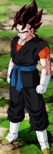 Vegito | Dragon Ball Wiki | Fandom