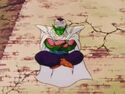 Piccolo meditates