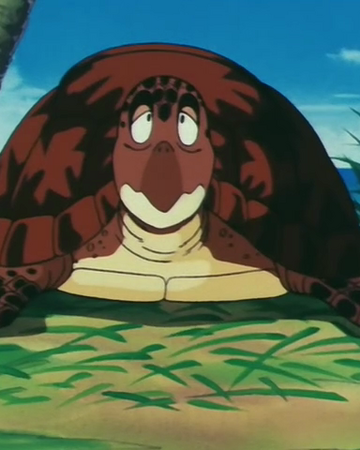 ウミガメ Dragon Ball Wiki Fandom ウミガメ Dragon Ball Wiki Fandom