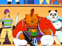 BearPirate