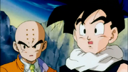 Gohan e Crilin su Neo Vegeta