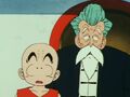 Krillin and Jackie Chun