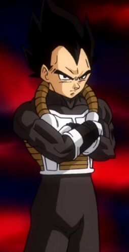 Xeno Vegeta 3