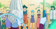 Whis Battle of god