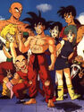 Goku and his friends at the end of the 23rd World Tournament