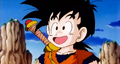 Gohan happy