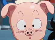 Mini Oolong in Daima