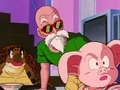 Turtle, Roshi, Oolong