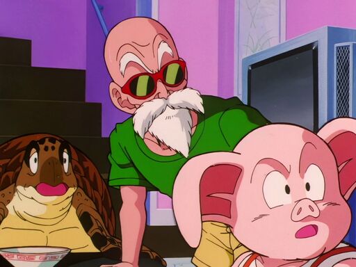 Master Roshi Dragon Ball Wiki Fandom