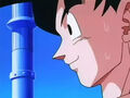 Dbz233 - (by dbzf.ten.lt) 20120314-16314405.jpg (13 KB)