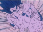 Dbz31-49