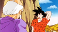 Goku's instructor tells him that he does not need a license since he can fly