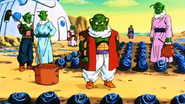 Habitantes de Namek reunidos.