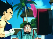 Vegeta al torneo