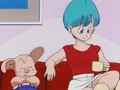 Oolong and Bulma