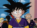 Goku in Shu's outfit