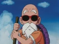 Roshi9.jpg (51 KB) Master Roshi on his island