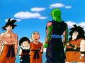 Piccolo with the others