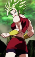 True legendary Super Saiyan Kale preparing to face Super Saiyan God Goku