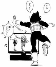 Vegeta aerobics