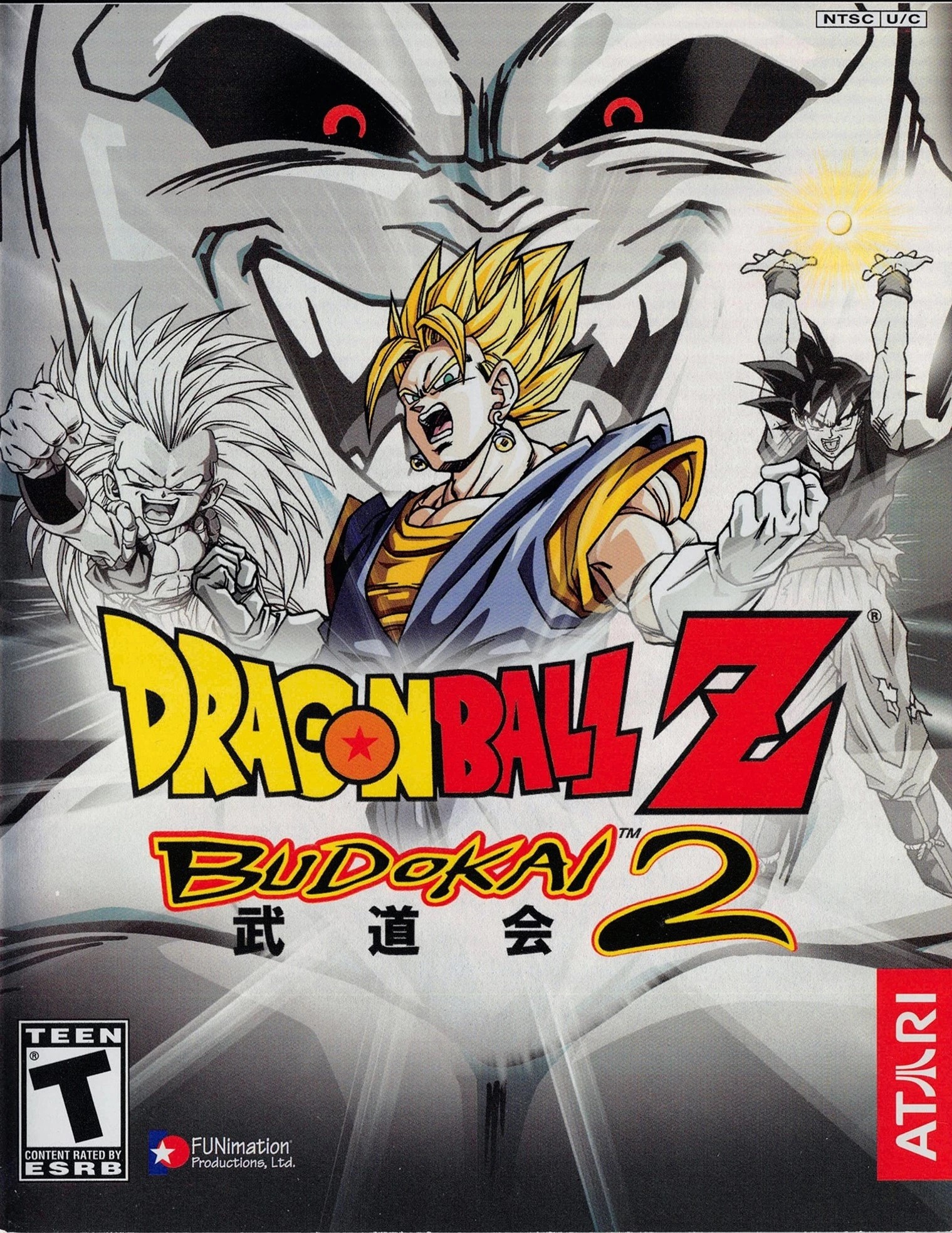 Dragon Ball Z Budokai Tenkaichi 3 (Sony Playstation 2) Custom Case
